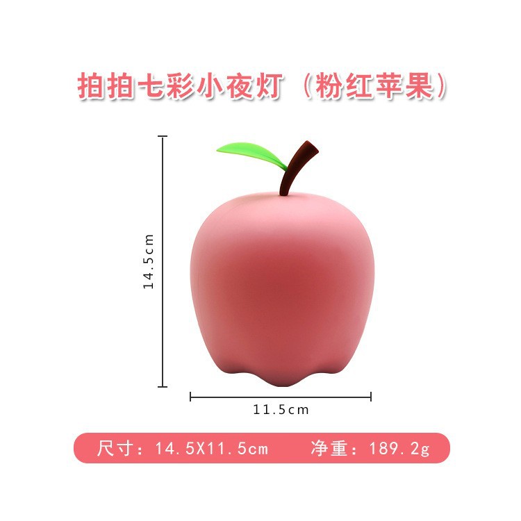 애플 [충전식 모델