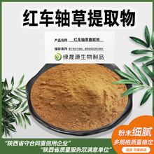 毛喉鞘蕊花提取物 30:1/50:1规格水溶性毛喉鞘蕊花粉 1kg起订
