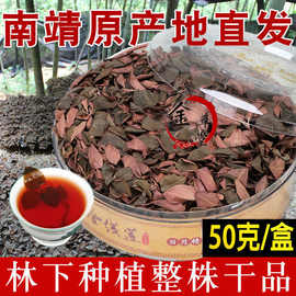 福建南靖金线莲干品土楼金线莲林下种植金线莲茶养生茶整株礼包邮