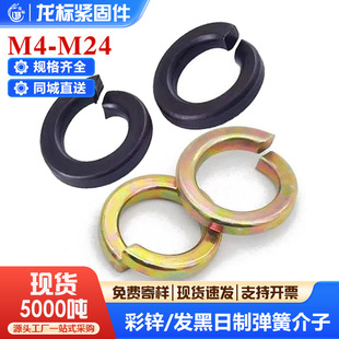 8���l�ڏ��|Ȧ���P䓏��ɉ|Ƭ�՘ˏ��|�����|�A˾�|Ȧm6m8m10m20