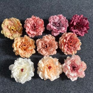 �����P��ĵ�����^��Y���������廨�b����������羳����ĵ�����^