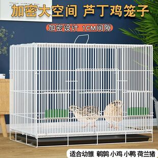 �J���u�\�Ӽ����Bֳ�����B�u�\�g���\С���ӻ\С؈�\�����\�B�\��