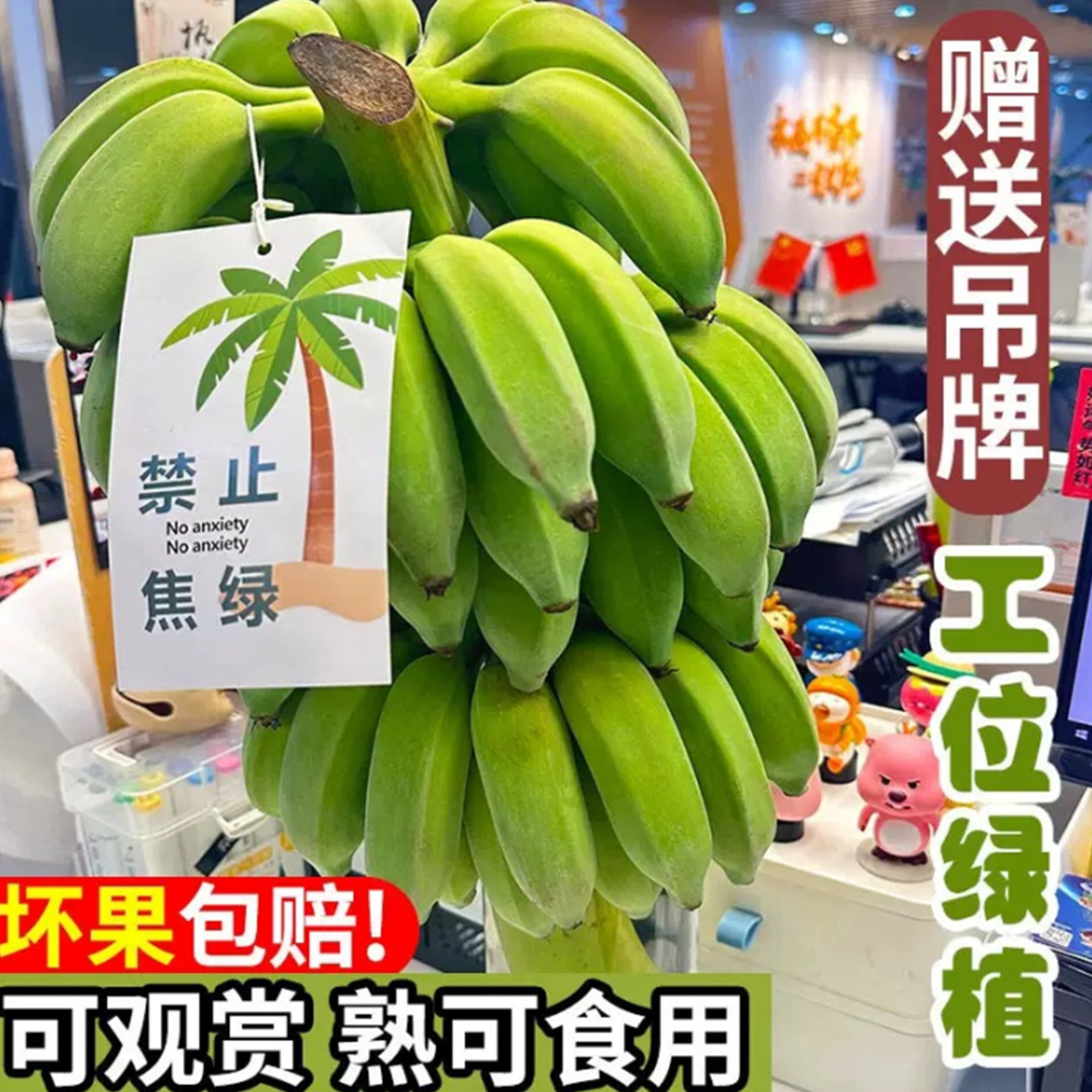 整串带杆禁止蕉虑小米苹果蕉办公室水培香蕉新鲜连果插花绿植虑盆