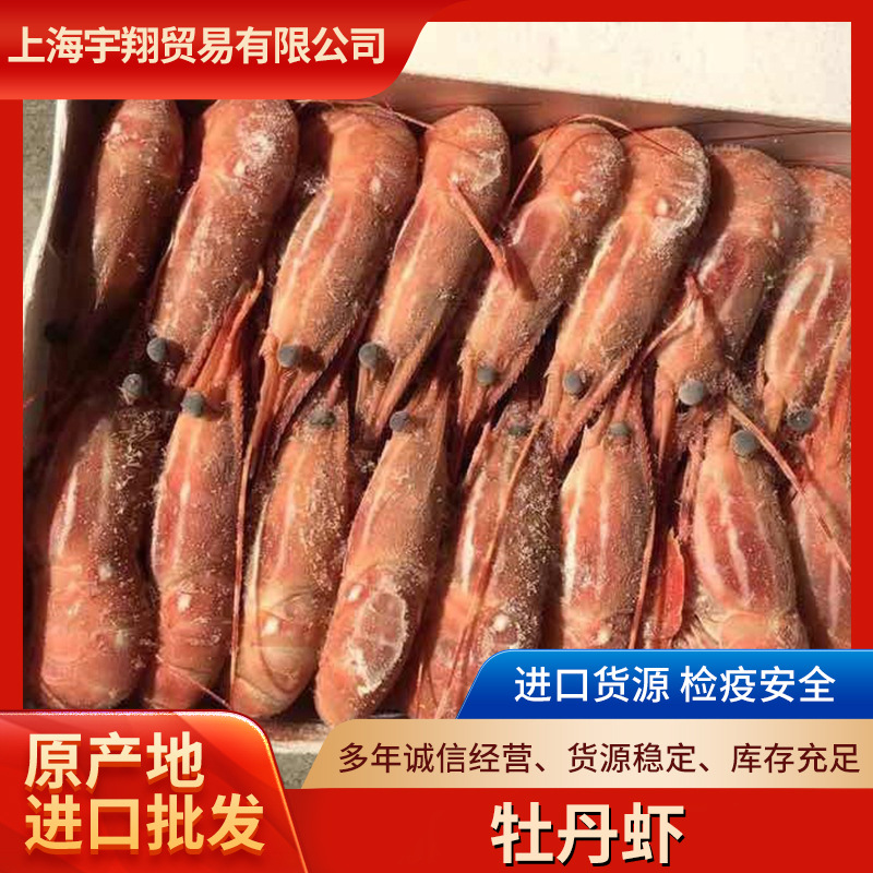 厂家供应加拿大牡丹虾 餐饮生鲜冷冻水产品冷冻虾类 鲜活冷冻海鲜