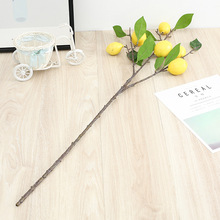 �����֧���^ˮ�������l ���̼ҾӔ[�żٻ����晎�����ӝ{��