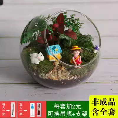✅ New Product Activity Moss Micro-Landscape DIY Material Kit Glass Bottle Handmade Succulent Green Plant Potted Plant Gift Set