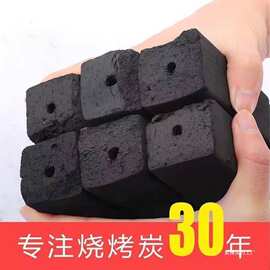 木炭烧烤碳无烟家用果木炭碳烤炉竹炭烤火室内炭块速燃批发