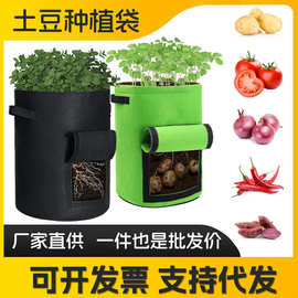 土豆种植袋马铃薯种植桶毛毡土豆袋圆形植物培育桶番薯花盆批发
