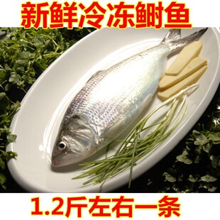���r������~ ���~ ���r  1.2������ÿ�l�r�X
