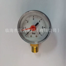 减压器;压力表;显示仪表