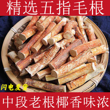 ��ָë����ș����ָë�Ҹ�����ץ��ţ�̸���؛�Ҝ���ָë�����߲�