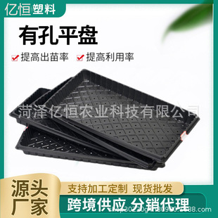 �S�����lѿ�˱P�����߲˷Nֲ�����бP�Ӻ������L�������P�������