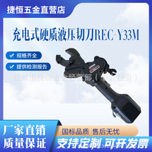 ʽ|еձIZUMIMڎI늄еREC-Y33Mྀе