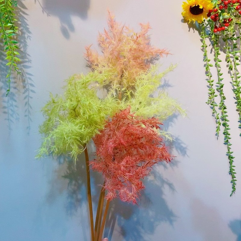 微信图片_20240310121721