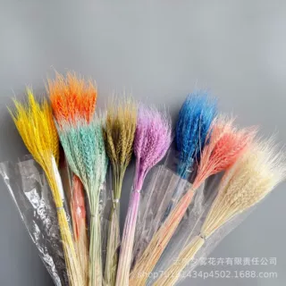 开业大麦干花大麦麦穗批发田园装饰拍摄道具新店送礼干花花束批发