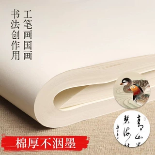 半生半熟书法专用纸毛笔初学者练字纸作品纸国画纸产自宣纸之乡