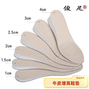 ������Ь�|��ƤţƤŮ͸�����������[������Ь�|ƤЬ�в����_����