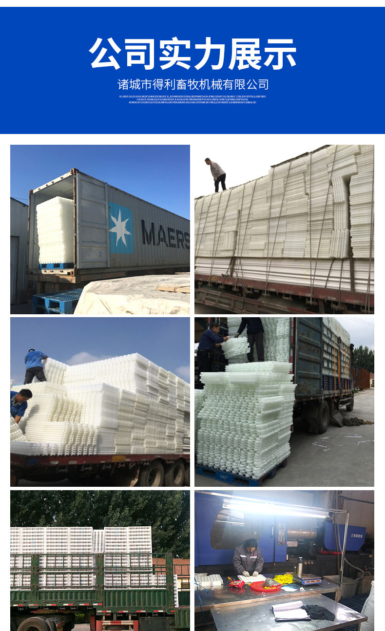 種蛋周轉(zhuǎn)筐詳情_12