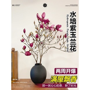 ���m���r��ˮ��ֲ����������m��֦ˮ�B�r�����҃Ⱥ��B�ͺ��Gֲ