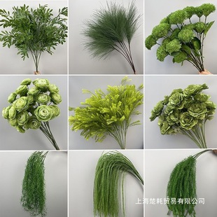 Wedding Floral Leaves Plants Tropical Coconut Leaves Wedding Photo Photography Background Posing Green Plant Props