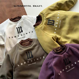 2025新款冬季中大童巨厚仿兔毛假两件卫衣