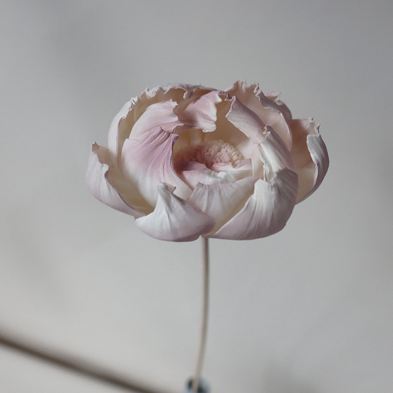 Color de raíz de loto, viento fragante, polvo de tongcao, flor de peonía 1