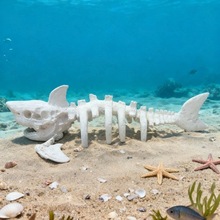 海之皇 海缸陶瓷人工海葵珊瑚造景死石高透水鱼缸造景装饰摆件