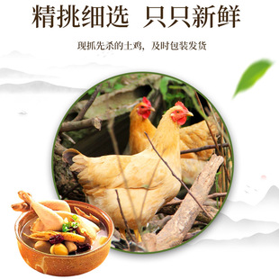 �������r��ĸ�u���|�o���Ҝ����a�����u��ĸ�u�r��ɢ�B���u�F��