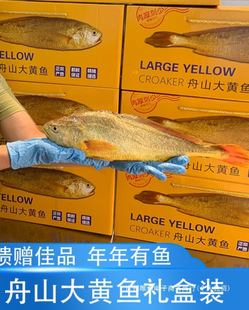 ��ɽ���S�~�Y���b���ώ��x���߶˺��r���ֶY��Ұ��Ұ����S���~