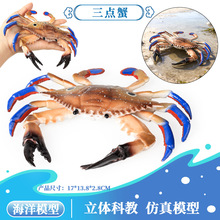 �羳���溣������ģ�Ͷ�ͯ��߶�����з����з����з�컨з�ڼ�