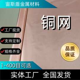 黄铜网6-200目广东紫铜丝编织过滤信号电磁屏蔽防静电接地铜网