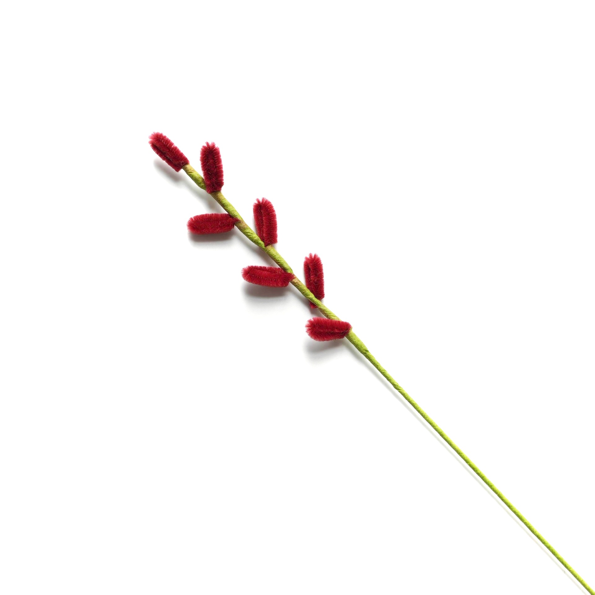 은버드나무【빅 레드】