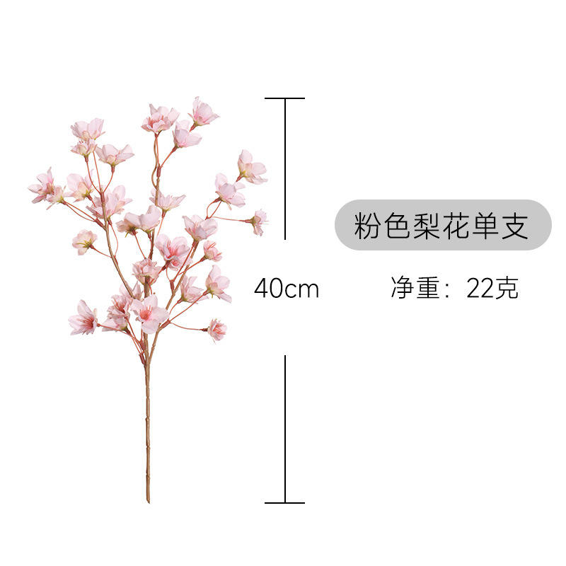 복숭아 꽃 핑크