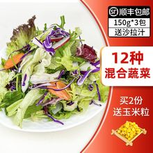 蔬菜沙拉食材色拉菜混合套餐轻食速食蔬菜沙拉可选开袋即食玉米粒