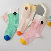 Ͱm2024Ͳm\mmmŮСtͬ