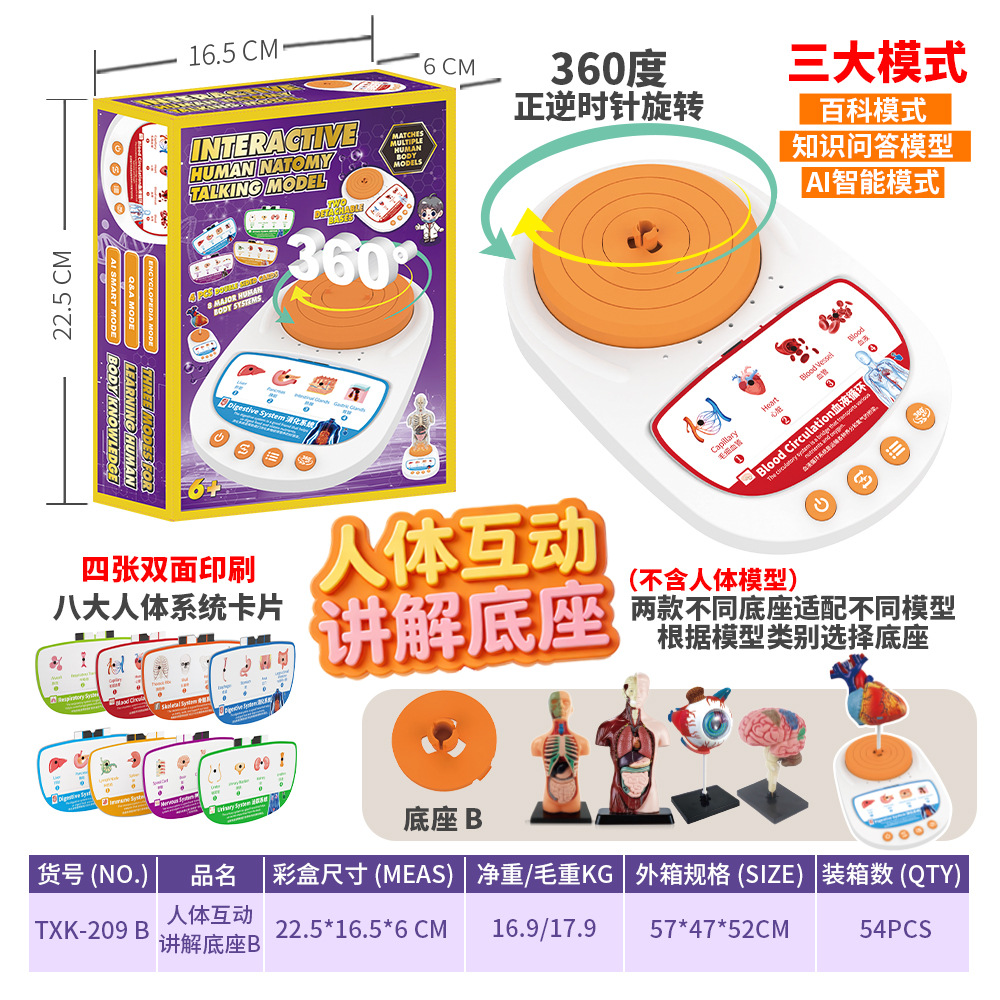 Juguetes transfronterizos Educación temprana Órganos humanos Modelos esqueléticos Conjunto de ciencia y educación Estudiantes de primaria y secundaria Ensamblaje de bricolaje Rompecabezas para niños