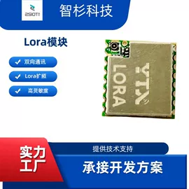 RF/射频模块;LoRa模块;集成电路