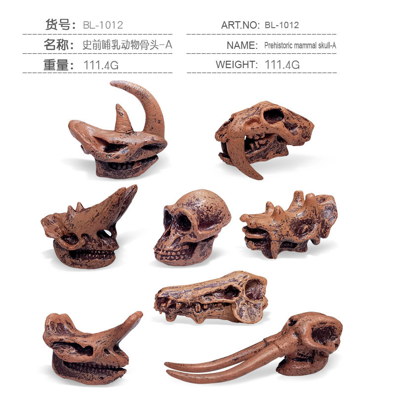 Transfronterizos de venta caliente simulación sólida modelo de cráneo de dinosaurio estático T. rex Velociraptor esqueleto arqueológico juguetes para niños