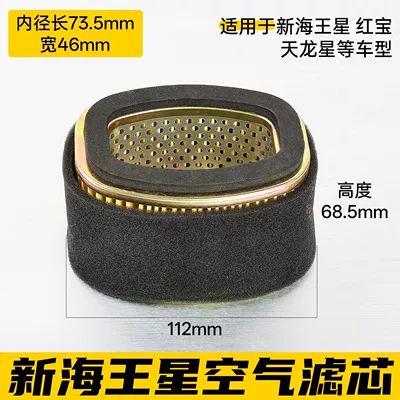 Motorcycle New Neptune Air Air filter