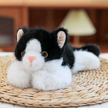 ɐۿڴϵëq߃ͯ؈ż≺ly؈ӶYƷl