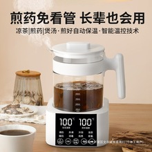 中药电煎壶煎药壶熬药全自动砂锅熬中药家用药罐恒温烧水养生壶