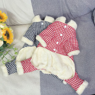 �ﶬ������_�¼ӽq��ů��H��̩�ϱ��ܲ���ѩ�{��С¹Ȯ؈��