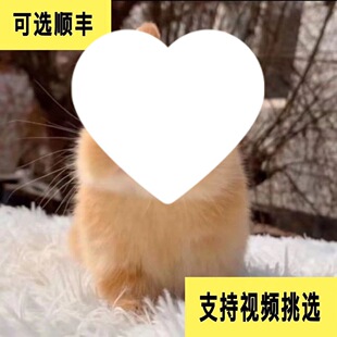 ����٪�������L�����Ҍ����û����P�ۺ��ĺ��m����豭���ӻ��w