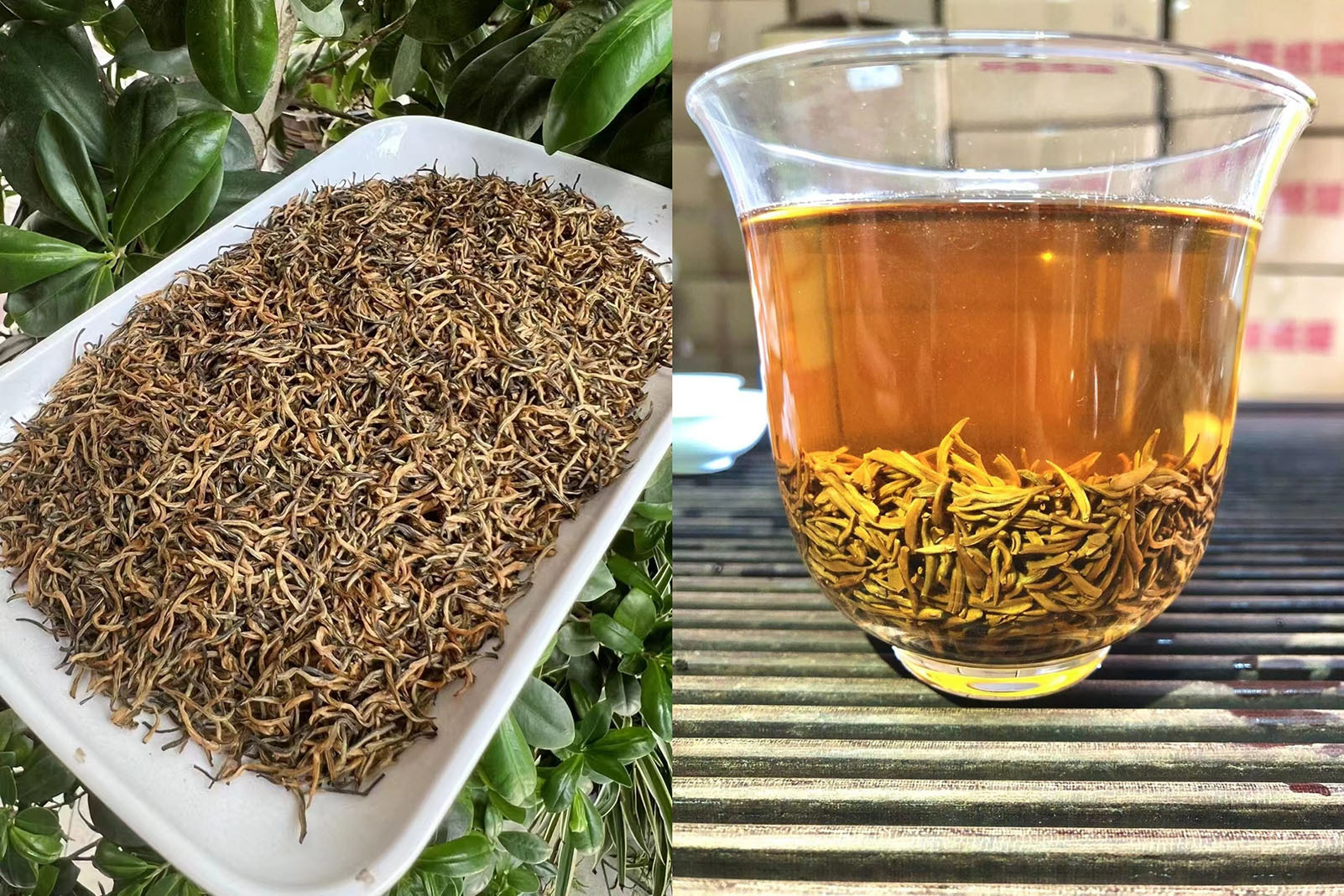 고급 노란 새싹 진준메이 310호 500g