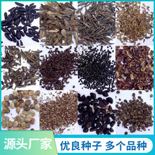 ˹˲~߲ļ_Nˮ໨ܷNӏSl