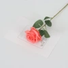 Silk cloth orange