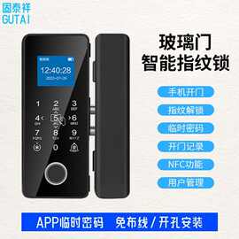 办公室玻璃门密码锁涂鸦双门双开单开公司商铺有框智能指纹门锁