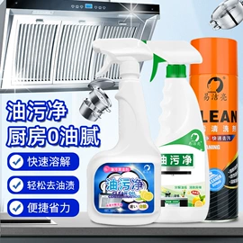 鞋套、鞋刷;皮革家具;多用途清洁剂