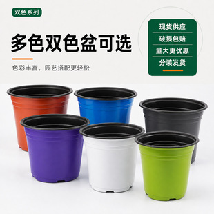 ���S���l����pɫ�����������r�ü��ÈA���������绨��͸����ˮ