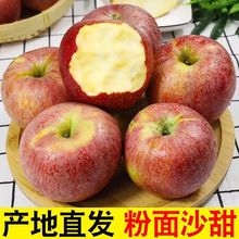 2025年陕西秦冠苹果粉面沙甜新鲜水果当季可脆可粉糯一件代发